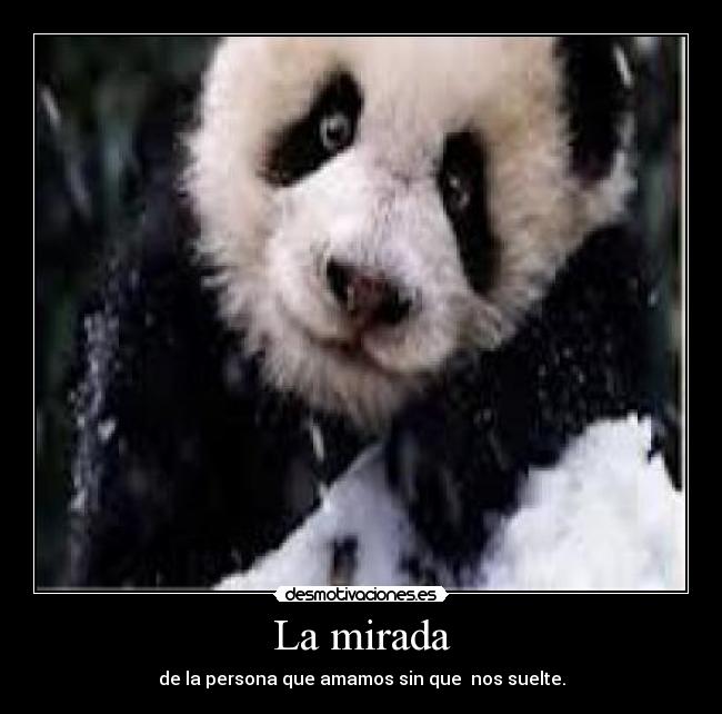 La mirada - de la persona que amamos sin que nos suelte.