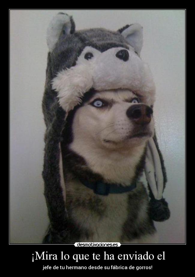 ¡Mira lo que te ha enviado el - jefe de tu hermano desde su fábrica de gorros!