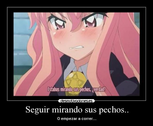 carteles zeronotsumaika anime louise pixilin desmotivaciones