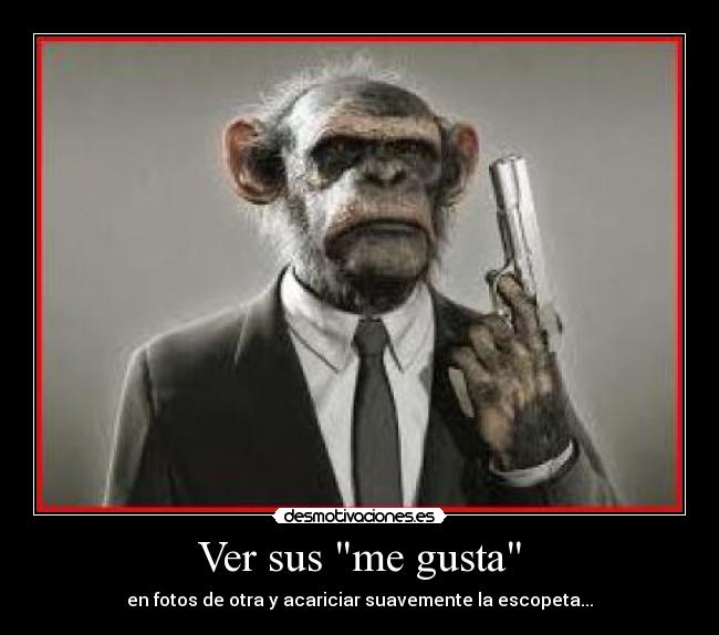 carteles escopetas desmotivaciones