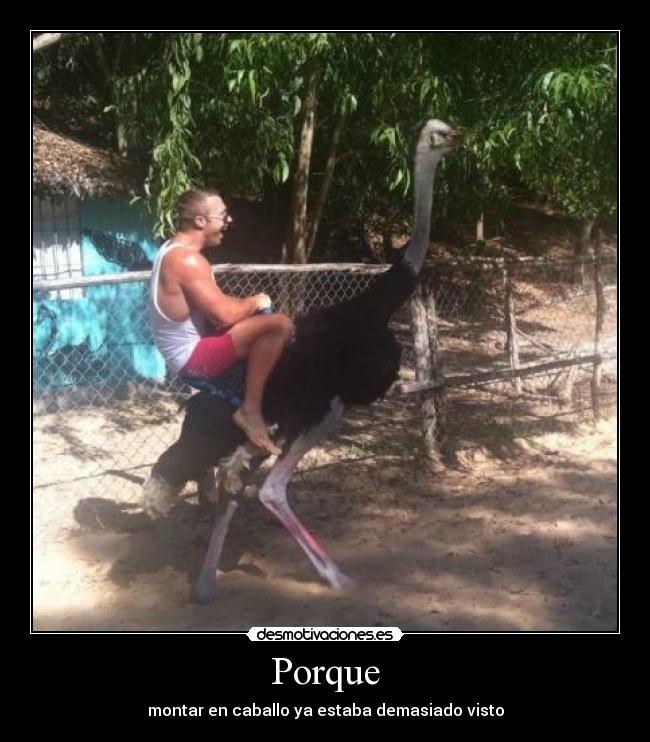 Porque -