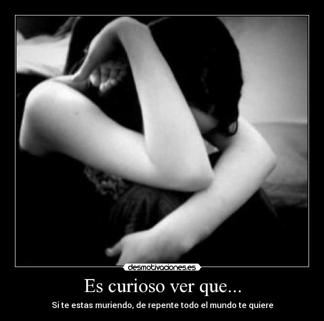 carteles derp desmotivaciones