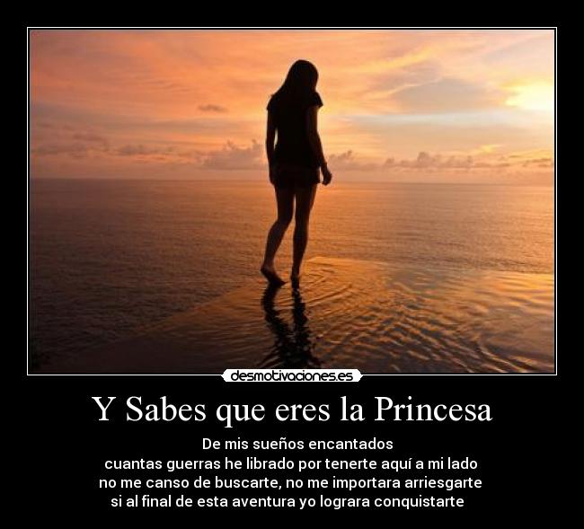 Y Sabes que eres la Princesa - ♪♪♫ De mis sueños encantados
cuantas guerras he librado por tenerte aquí a mi lado
no me canso de buscarte, no me importara arriesgarte
si al final de esta aventura yo lograra conquistarte ♪♪♫