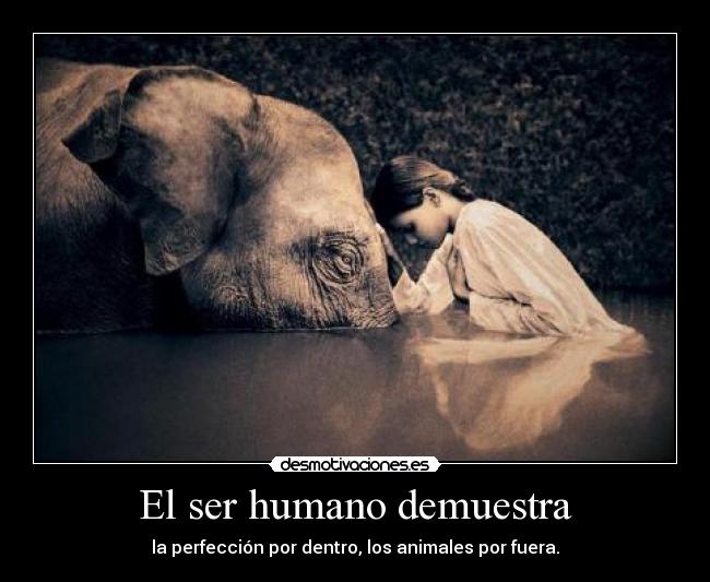 El ser humano demuestra -