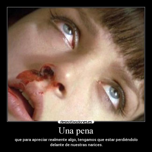 Una pena - que para apreciar realmente algo, tengamos que estar perdiéndolo
delante de nuestras narices.