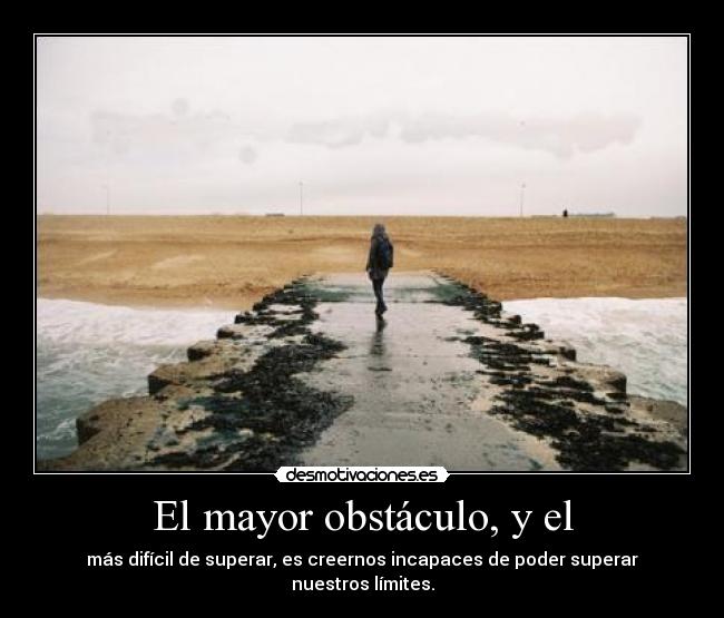 carteles dos comas todo tan puke desmotivaciones