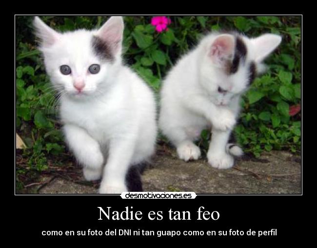 Nadie es tan feo - como en su foto del DNI ni tan guapo como en su foto de perfil