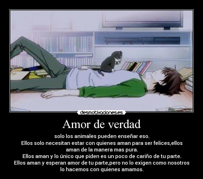 carteles amor raro explicar esto desmotivaciones