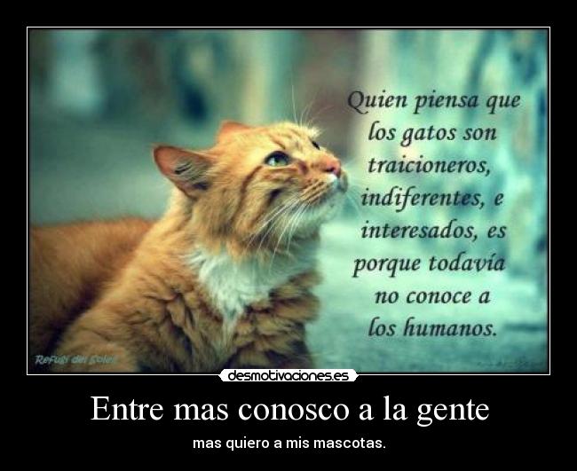 Entre mas conosco a la gente - mas quiero a mis mascotas.