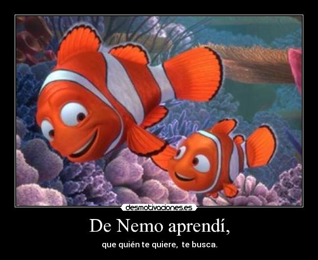 De Nemo aprendí, - que quién te quiere, te busca.