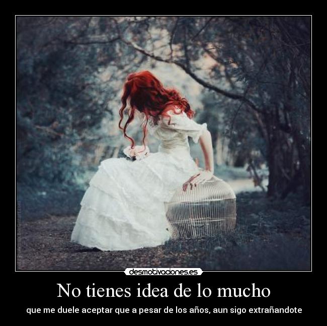No tienes idea de lo mucho -