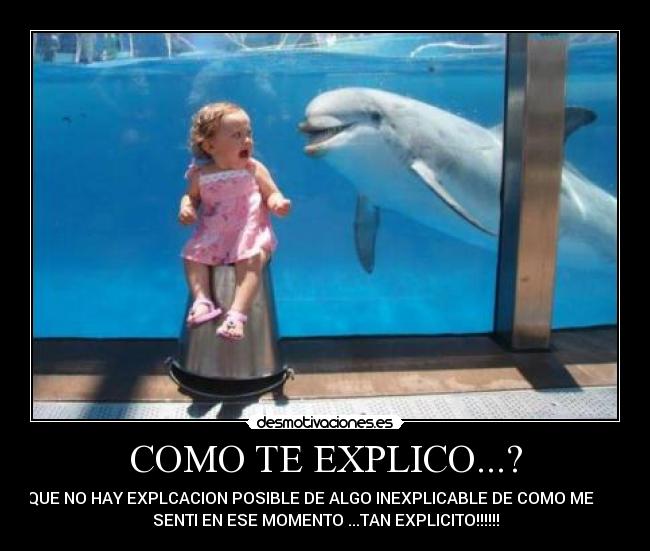 COMO TE EXPLICO...? - QUE NO HAY EXPLCACION POSIBLE DE ALGO INEXPLICABLE DE COMO ME
SENTI EN ESE MOMENTO ...TAN EXPLICITO!!!!!!