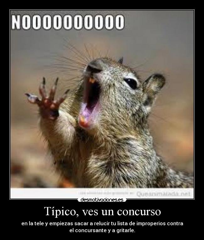 Típico, ves un concurso -