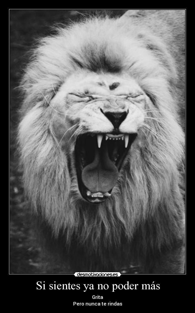 Si sientes ya no poder más -
