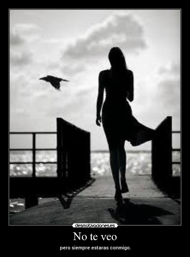 carteles veo desmotivaciones