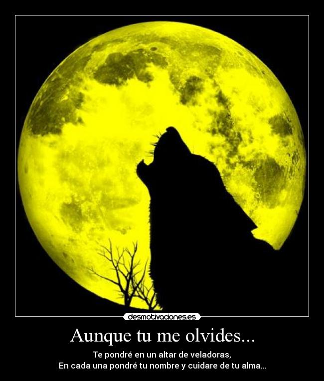 Aunque tu me olvides... - Te pondré en un altar de veladoras,
En cada una pondré tu nombre y cuidare de tu alma...