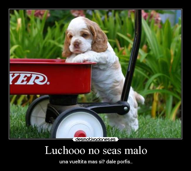 Luchooo no seas malo - 