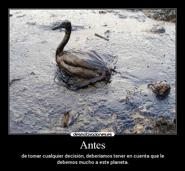 Antes - 