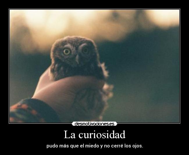 La curiosidad - 