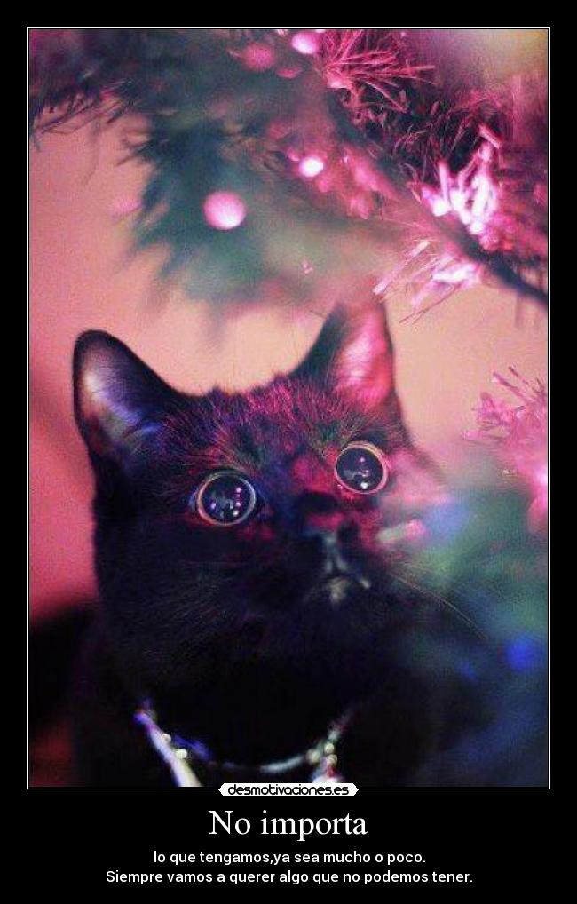 No importa - lo que tengamos,ya sea mucho o poco.
Siempre vamos a querer algo que no podemos tener.