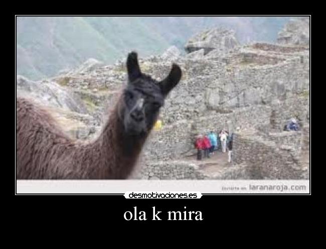 ola k mira -