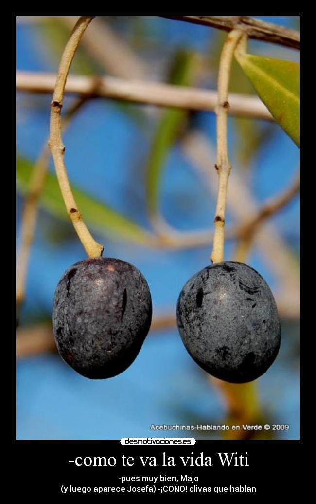 -como te va la vida Witi -