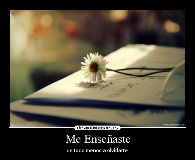 Me Enseñaste - 