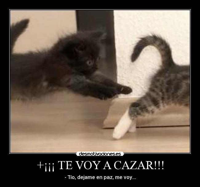 +¡¡¡ TE VOY A CAZAR!!! -