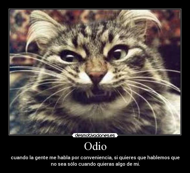 Odio - cuando la gente me habla por conveniencia, si quieres que hablemos que
no sea sólo cuando quieras algo de mi.