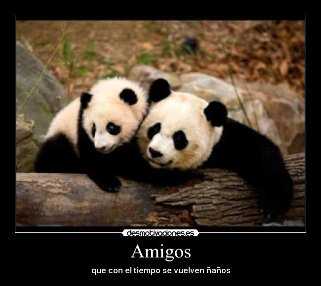 Amigos - 
