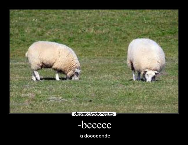 -beeeee - -a dooooonde