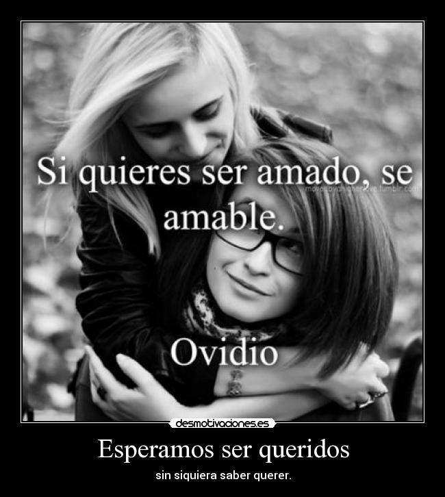 carteles seta setita alucinogena multicolor desmotivaciones