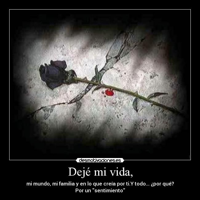 Dejé mi vida, -