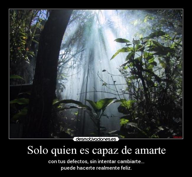 Solo quien es capaz de amarte -