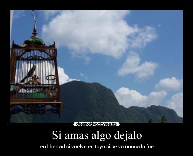 carteles liberate desmotivaciones