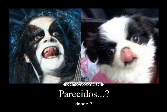 Parecidos...? - donde..?