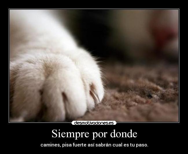Siempre por donde -