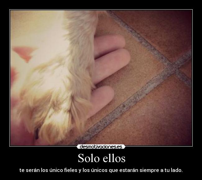 Solo ellos -