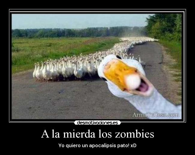 carteles patos desmotivaciones