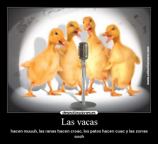 carteles vacas hacen muu ranas hacen croac patos hacen cuac las zorras hacen oooh welmfao desmotivaciones