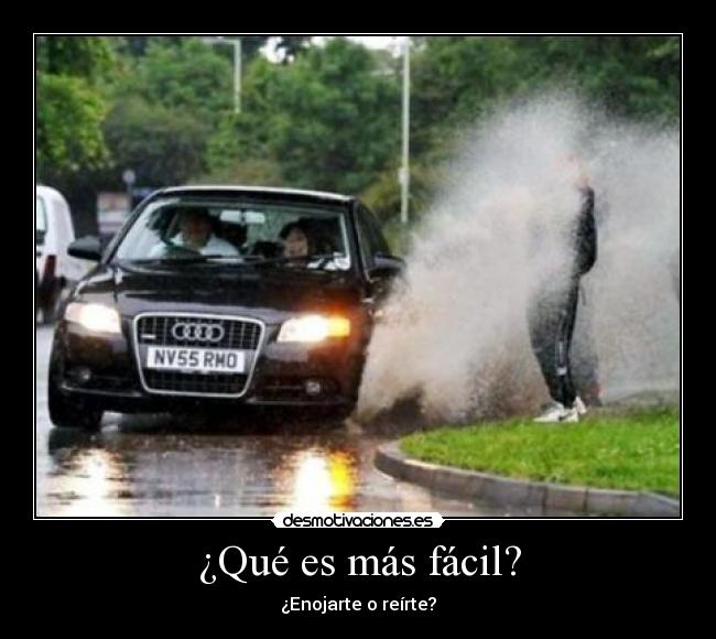 carteles mimamamemima ariadnec dice hola jojo desmotivaciones