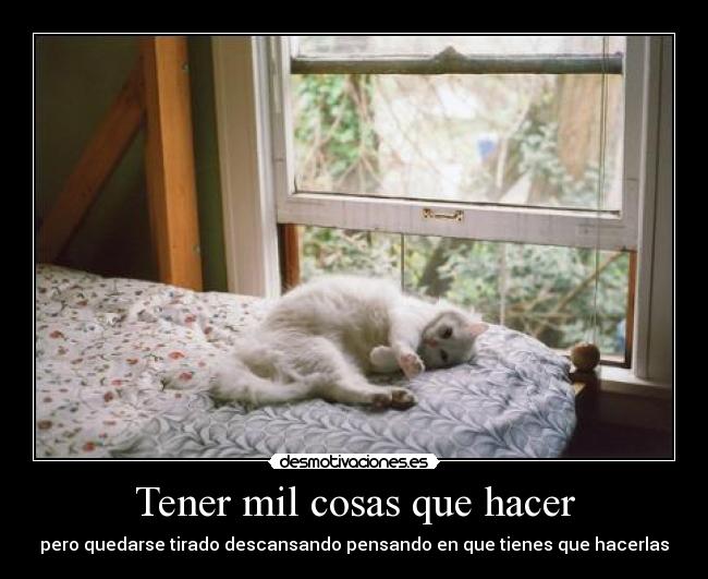 Tener mil cosas que hacer - 