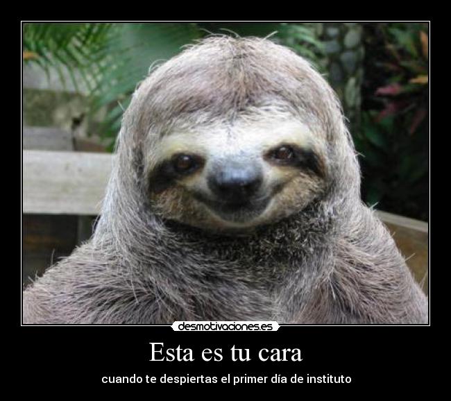 Esta es tu cara - cuando te despiertas el primer día de instituto