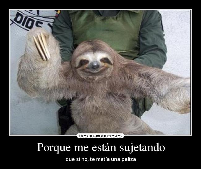 Porque me están sujetando - que si no, te metía una paliza