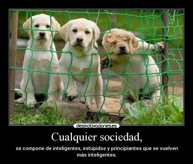 Cualquier sociedad, -