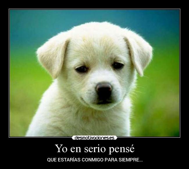 Yo en serio pensé - QUE ESTARÍAS CONMIGO PARA SIEMPRE...