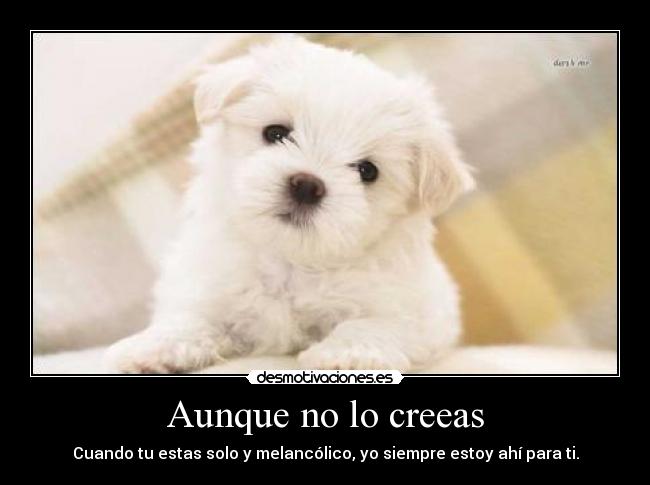 Aunque no lo creeas - Cuando tu estas solo y melancólico, yo siempre estoy ahí para ti.