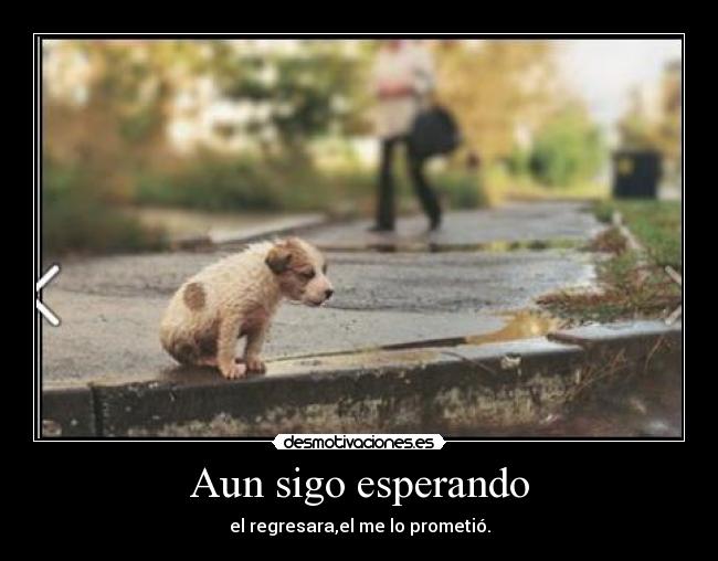 Aun sigo esperando - 