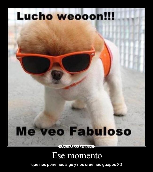 Ese momento - que nos ponemos algo y nos creemos guapos XD