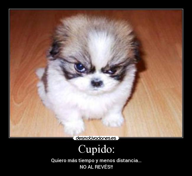 Cupido: - Quiero más tiempo y menos distancia...
NO AL REVÉS!!